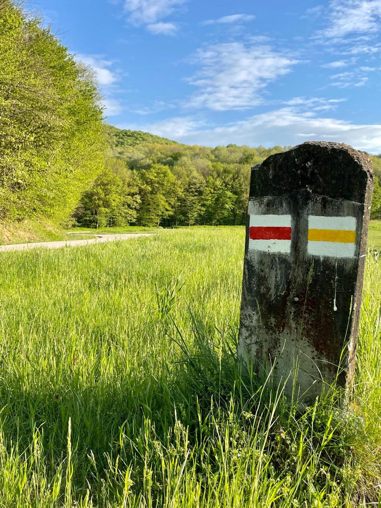 Aliret Vadaszhaz Ságvár Buitenkant foto